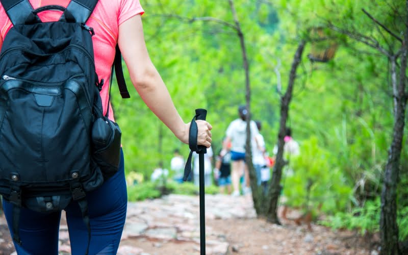 Family Packages Dandeli